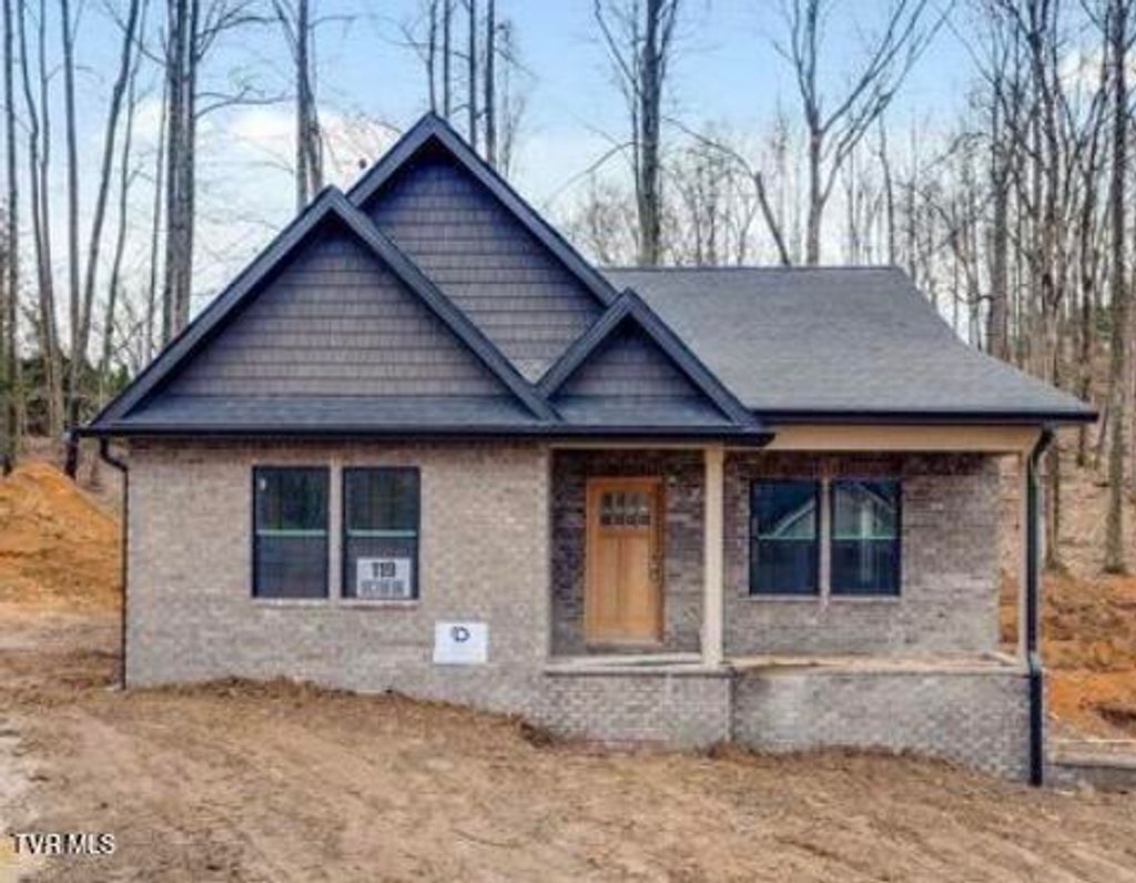 Photo of 119 Victor Drive, Johnson City, TN 37601 (MLS # 9991647)