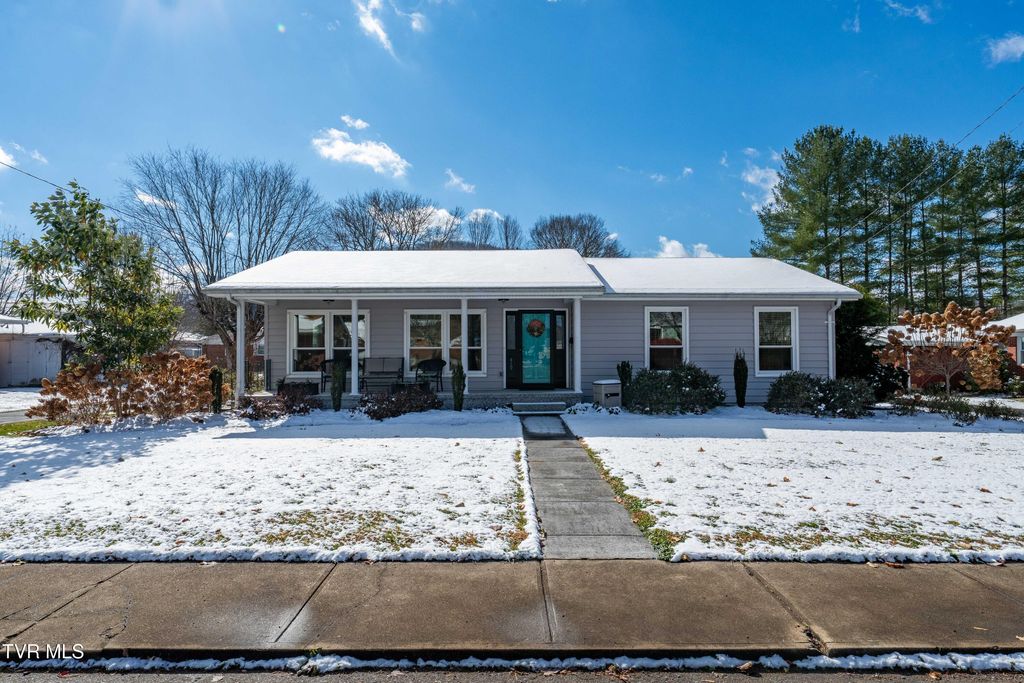 Photo of 419 College Street, Mountain City, TN 37683 (MLS # 9988279)