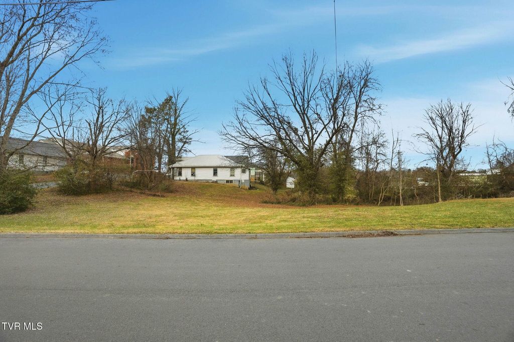 Photo of 1924 Wheeler Street, Johnson City, TN 37604 (MLS # 9989742)
