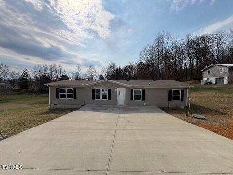 215 Westerly Drive Mosheim TN 37818