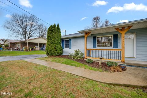 209 Cherry Street A Mount Carmel TN 37645