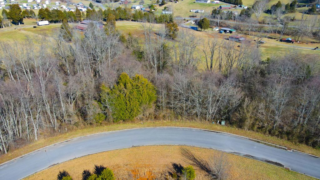 Photo of 23 Walnut Grove Drive, Church Hill, TN 37642 (MLS # 9933577)