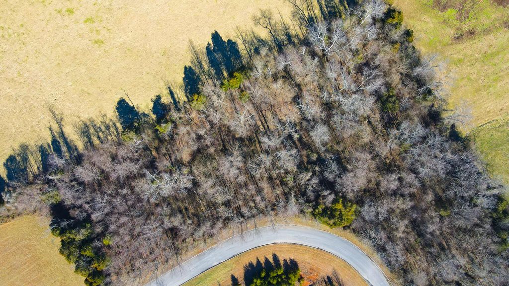 Photo of 23 Walnut Grove Drive, Church Hill, TN 37642 (MLS # 9933577)