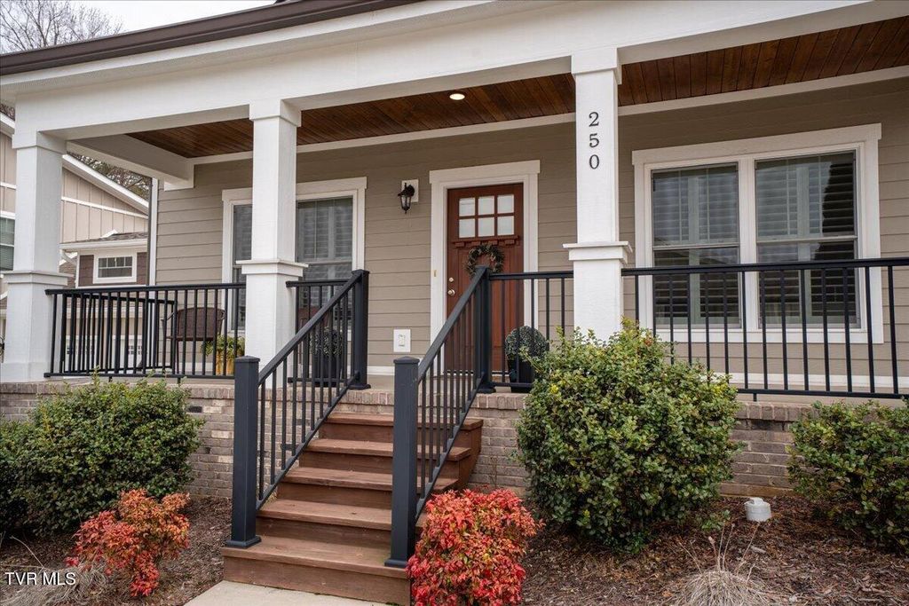 Photo of 250 Princeton Drive, Johnson City, TN 37601 (MLS # 9992684)