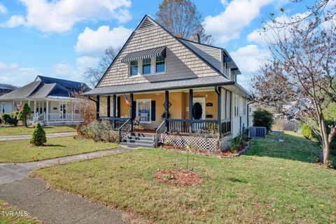 Homes For Sale - 639 Ohio Avenue<br/> Unicoi County, Erwin, TN 37650