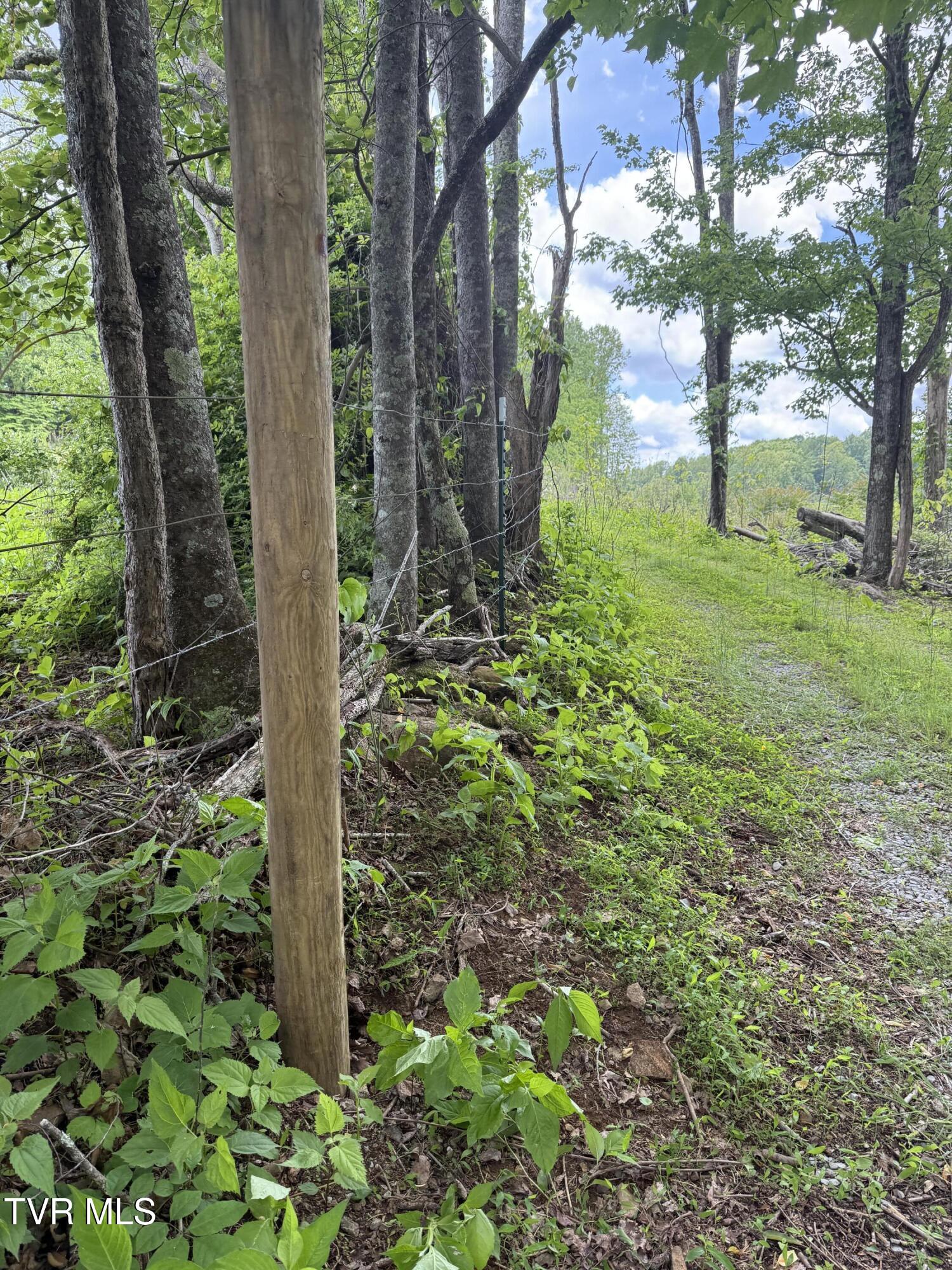 00 Heavens View (118 Acres) Lane, Gate City, Virginia image 7