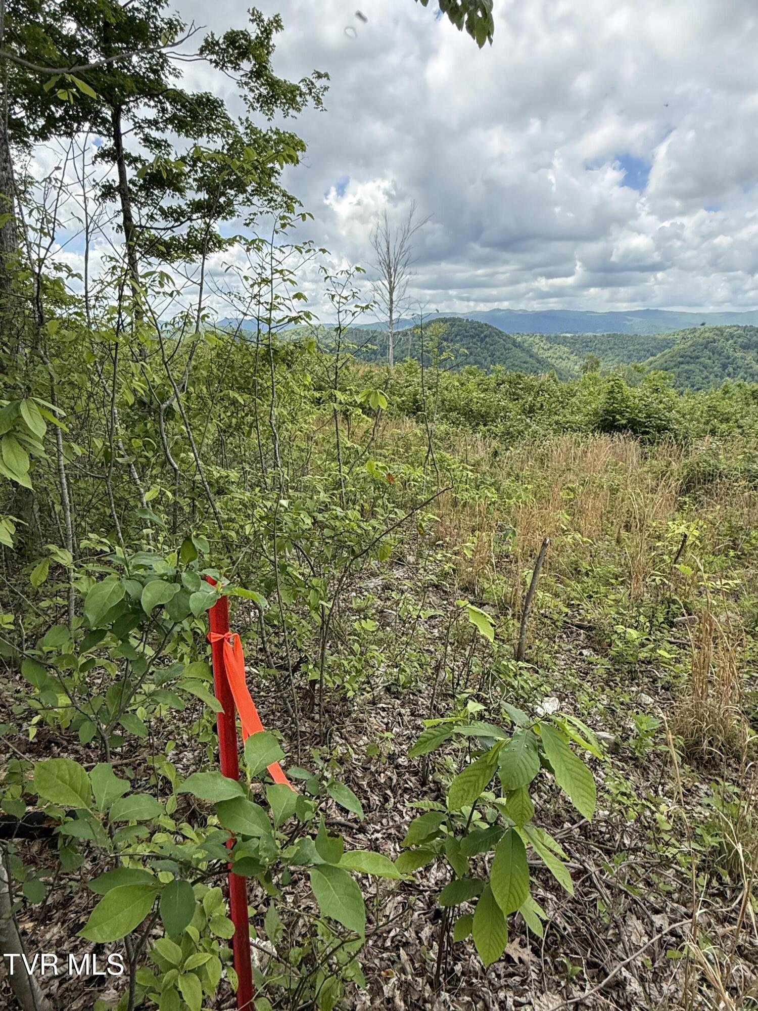 00 Heavens View (118 Acres) Lane, Gate City, Virginia image 17