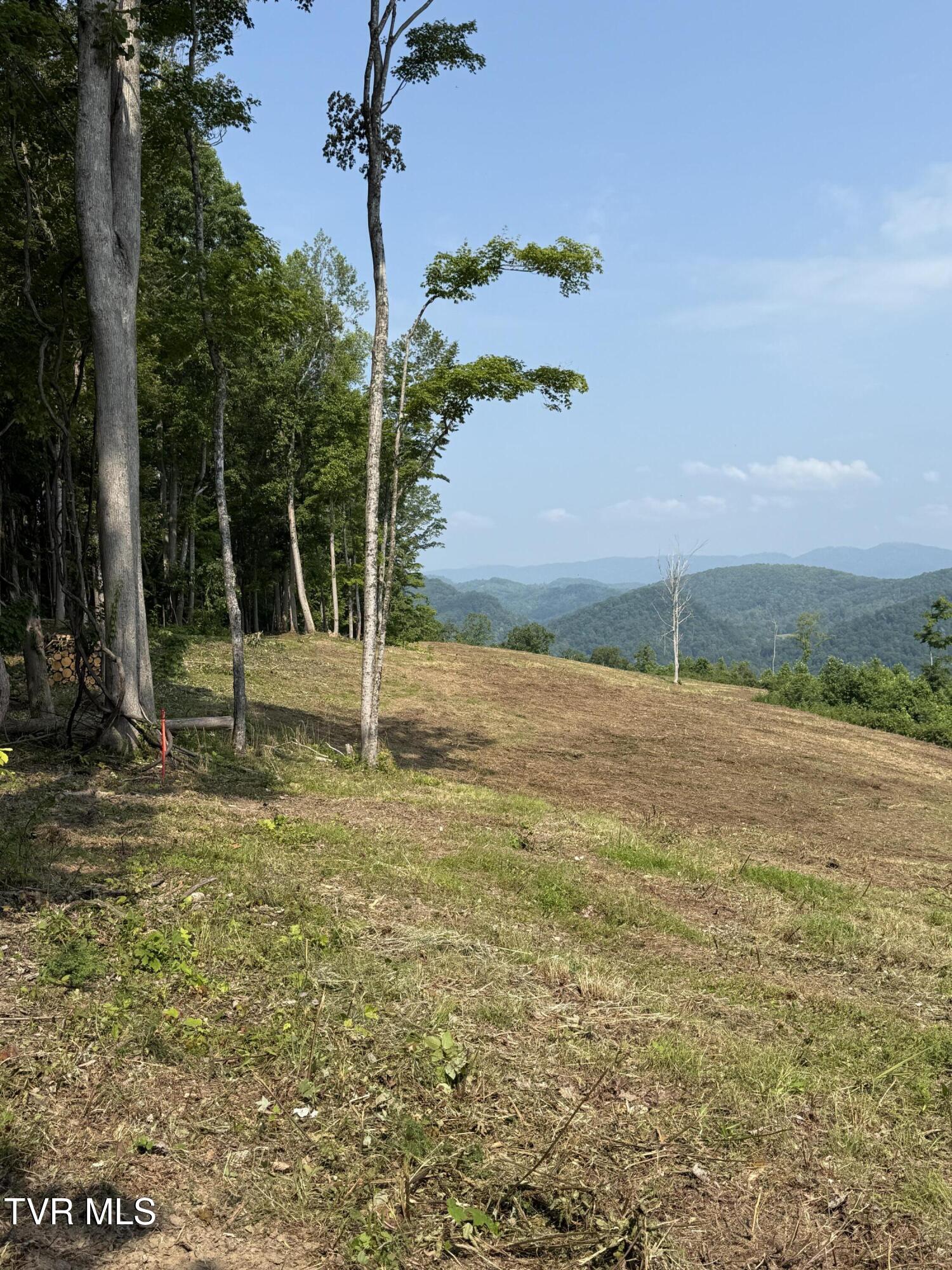 00 Heavens View (118 Acres) Lane, Gate City, Virginia image 36