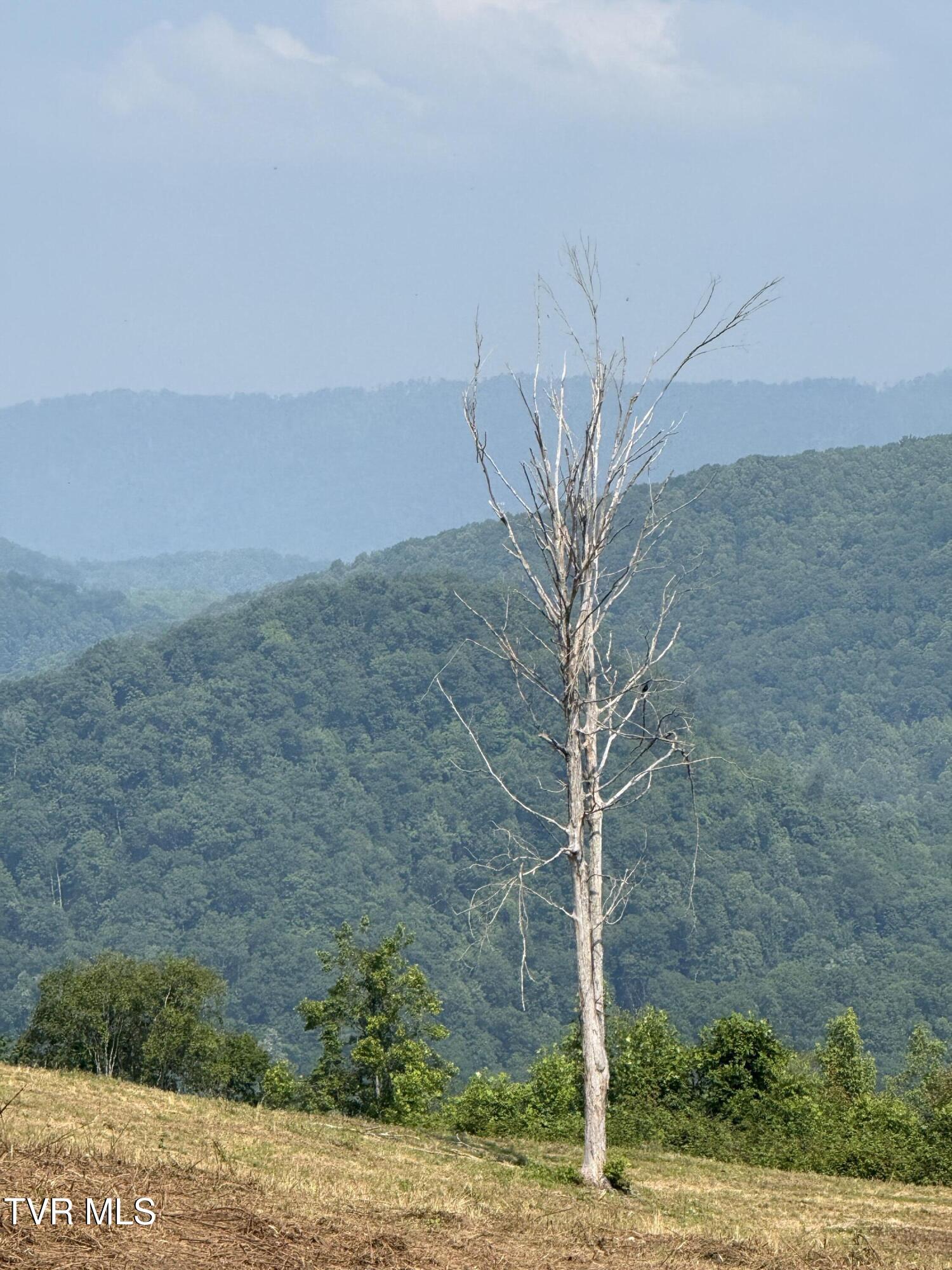 00 Heavens View (118 Acres) Lane, Gate City, Virginia image 19