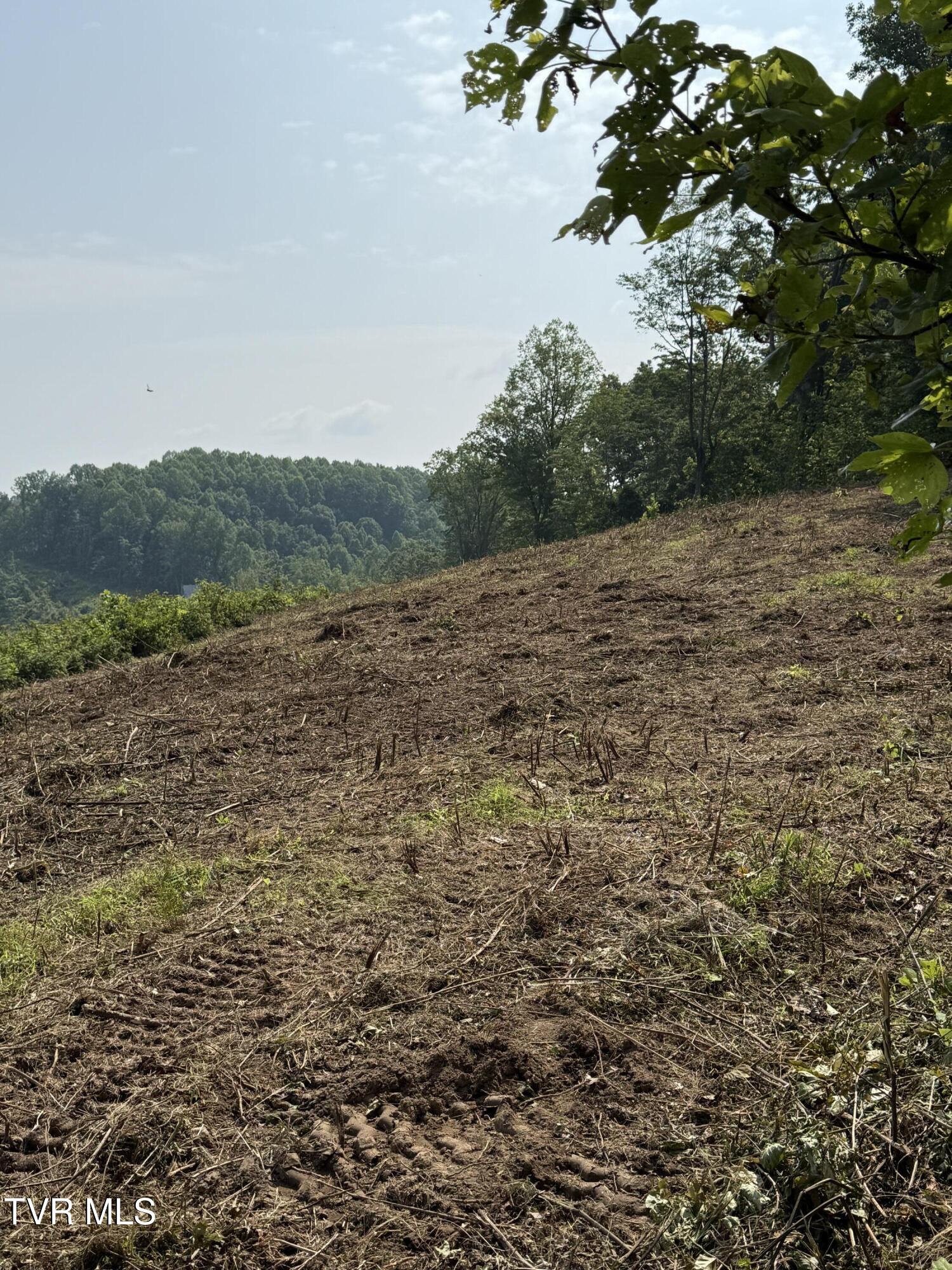 00 Heavens View (118 Acres) Lane, Gate City, Virginia image 30