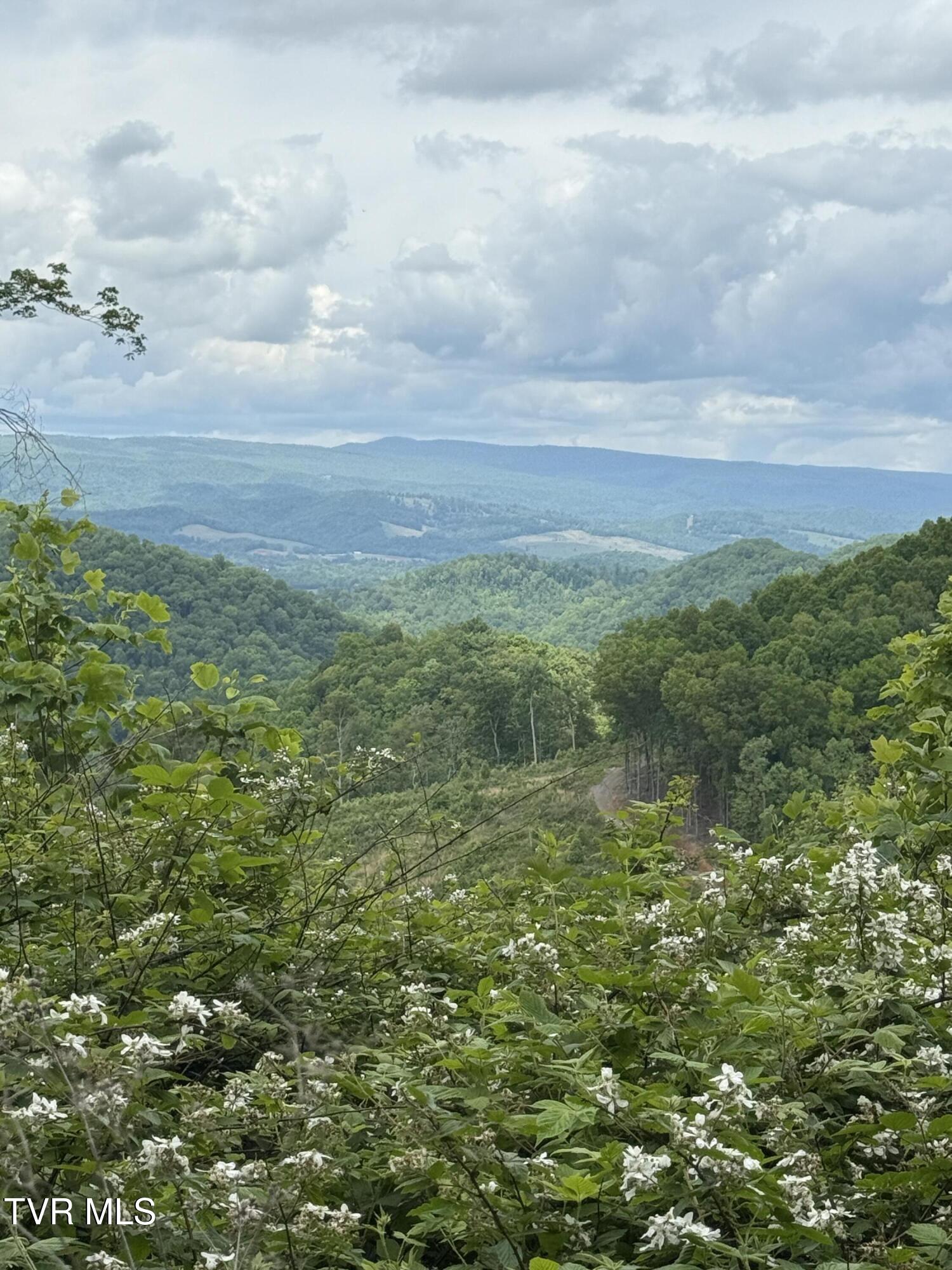 00 Heavens View (118 Acres) Lane, Gate City, Virginia image 27