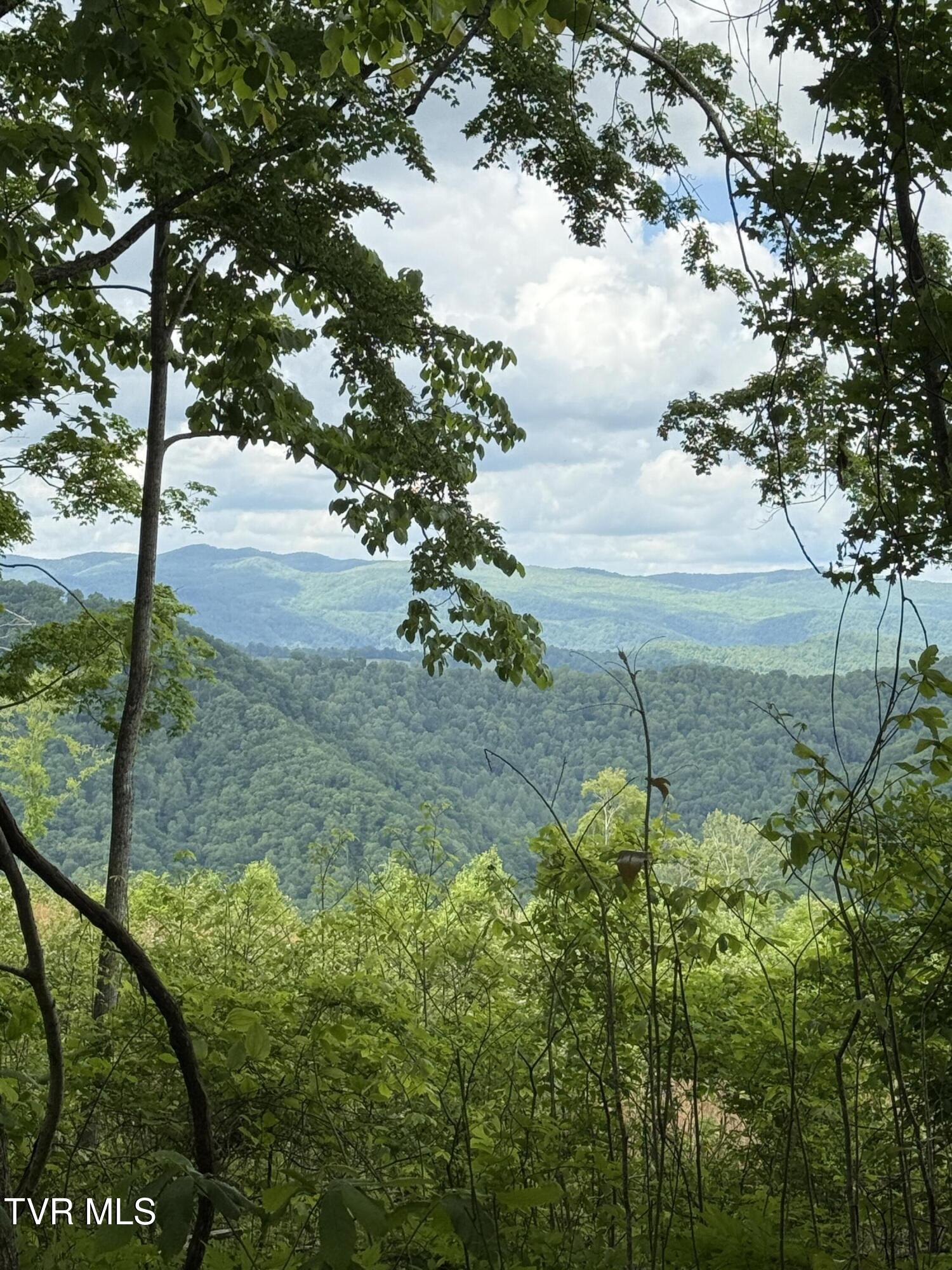 00 Heavens View (118 Acres) Lane, Gate City, Virginia image 1