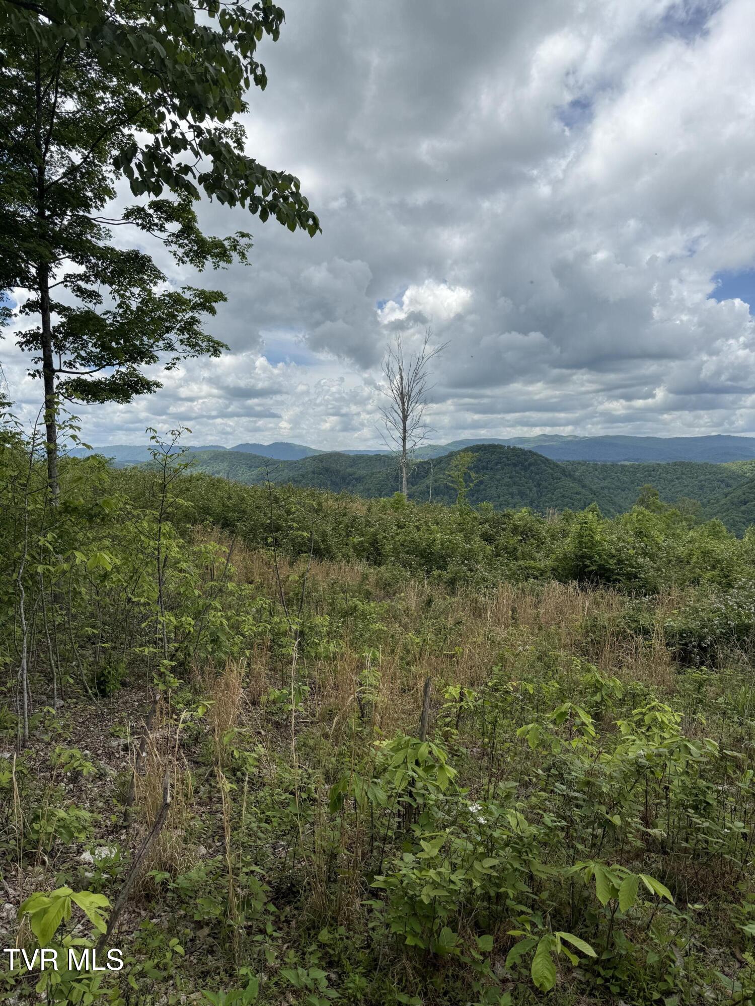 00 Heavens View (118 Acres) Lane, Gate City, Virginia image 13