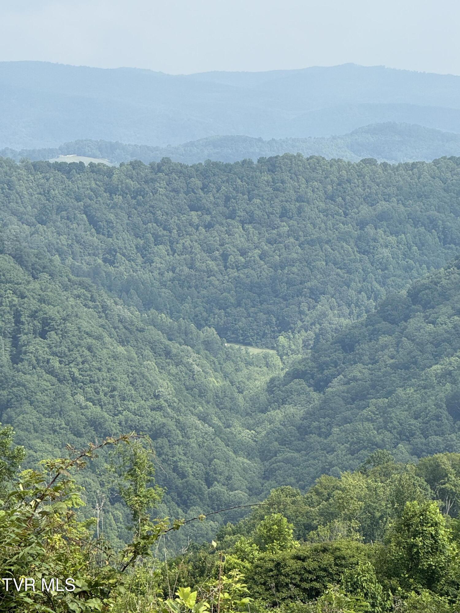 00 Heavens View (118 Acres) Lane, Gate City, Virginia image 33