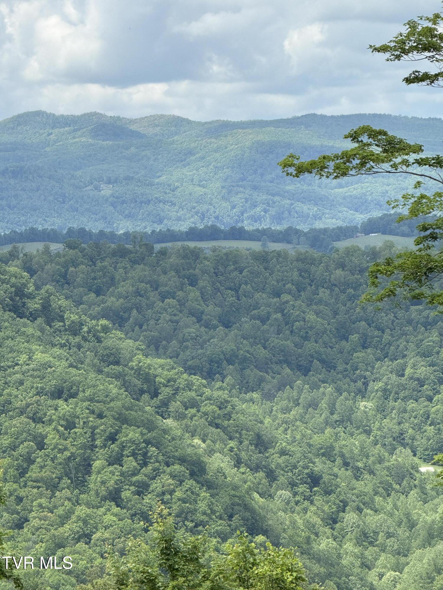 00 Heavens View (118 Acres) Lane, Gate City, Virginia image 12