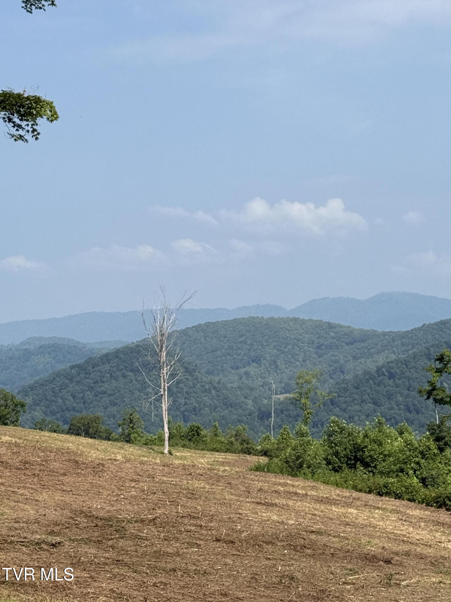 00 Heavens View (118 Acres) Lane, Gate City, Virginia image 26