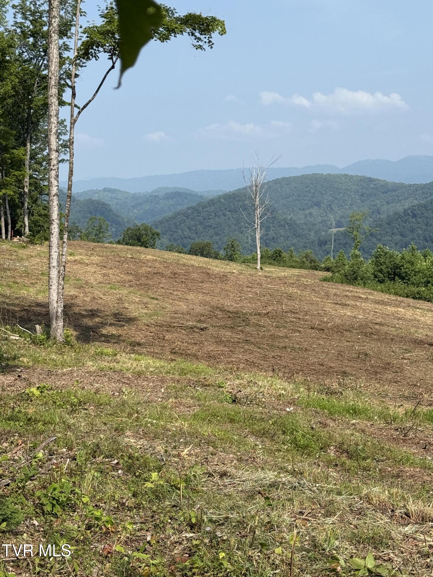 00 Heavens View (118 Acres) Lane, Gate City, Virginia image 6