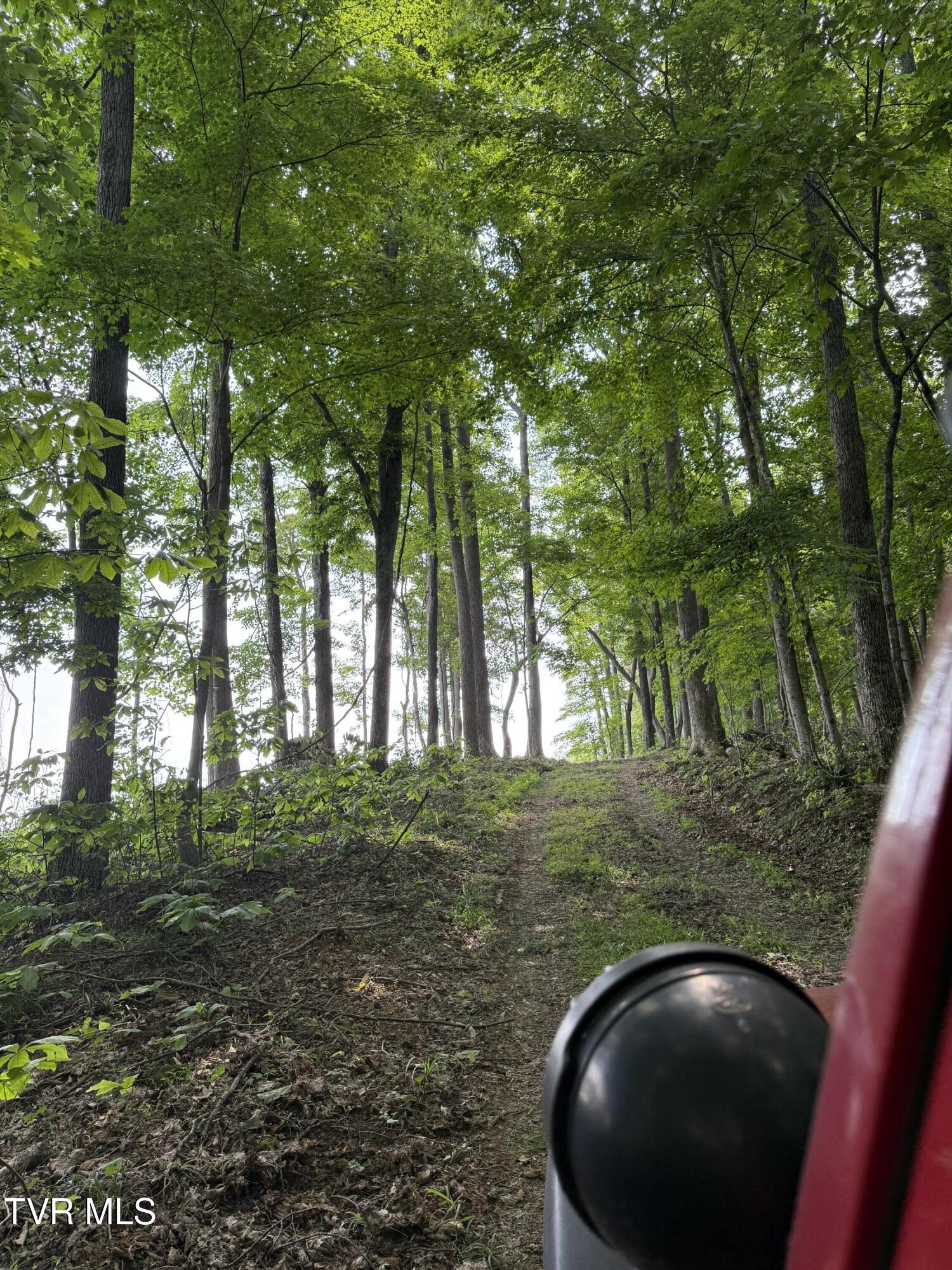 00 Heavens View (118 Acres) Lane, Gate City, Virginia image 31