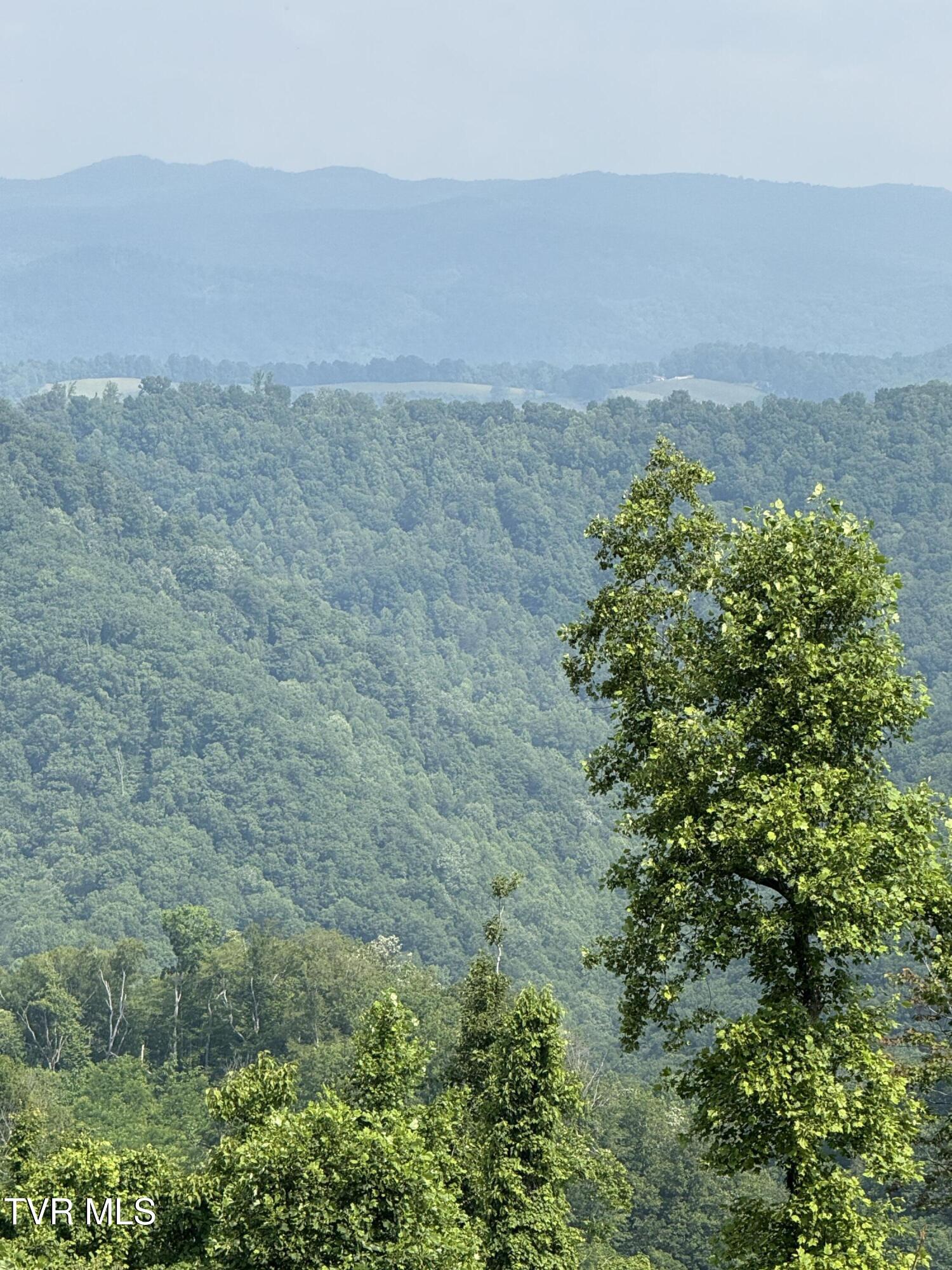 00 Heavens View (118 Acres) Lane, Gate City, Virginia image 37
