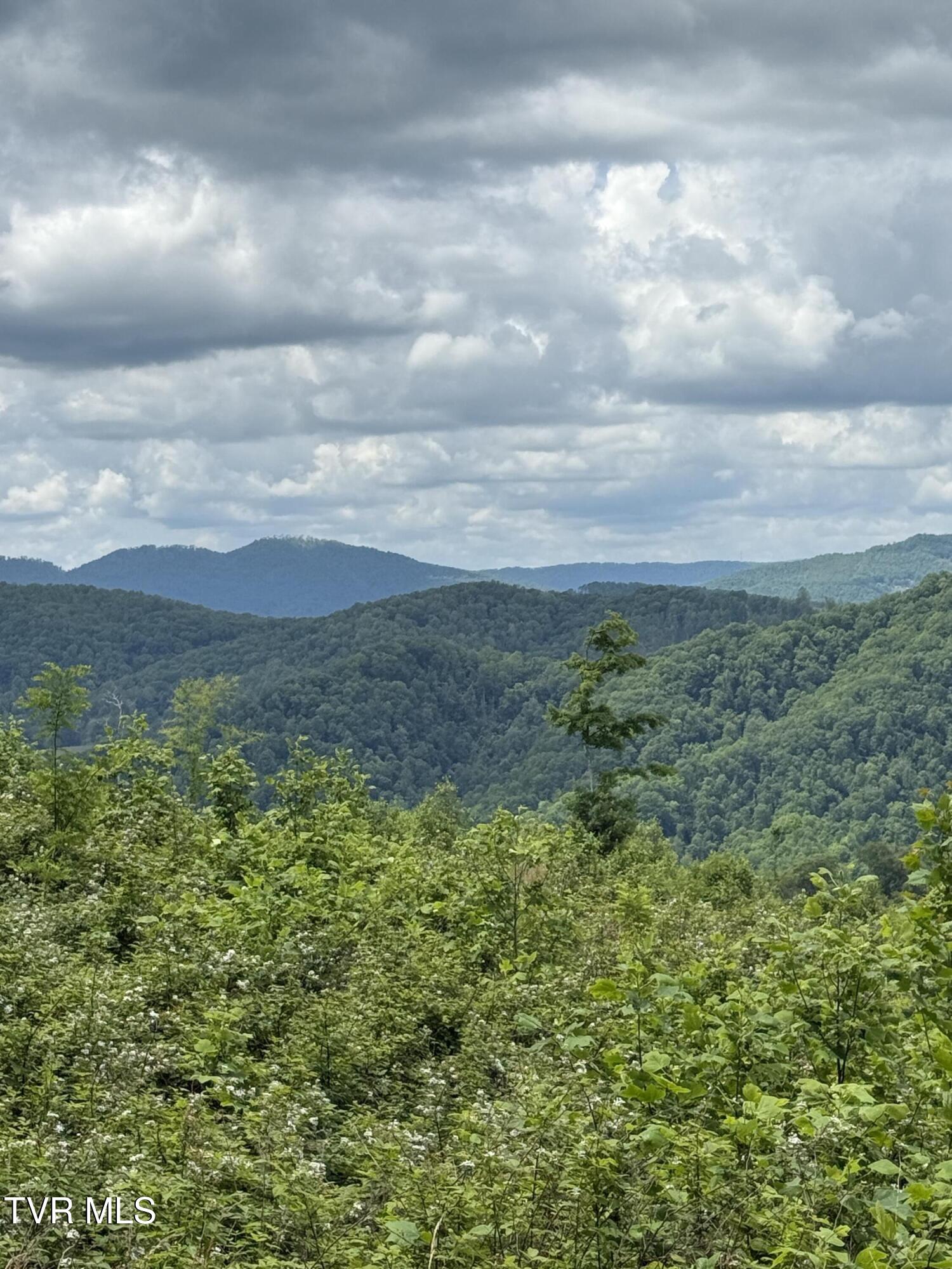 00 Heavens View (118 Acres) Lane, Gate City, Virginia image 9