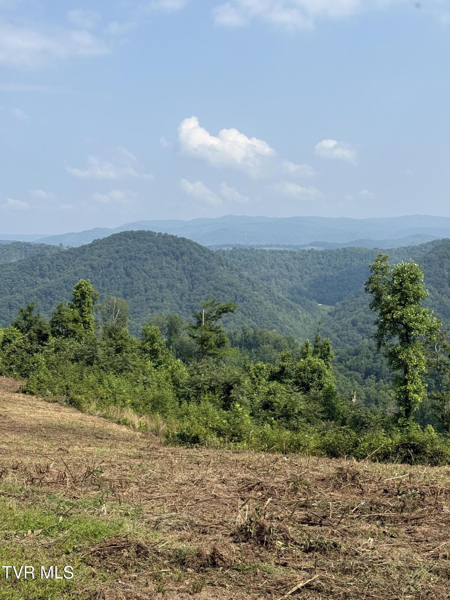 00 Heavens View (118 Acres) Lane, Gate City, Virginia image 35