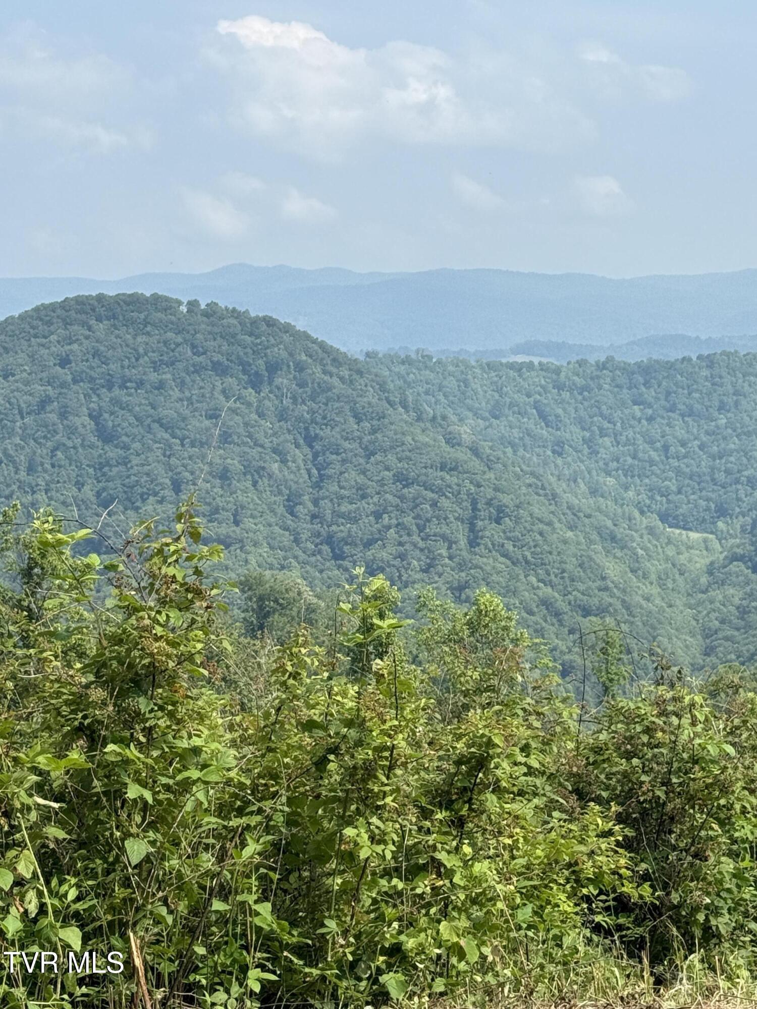 00 Heavens View (118 Acres) Lane, Gate City, Virginia image 15