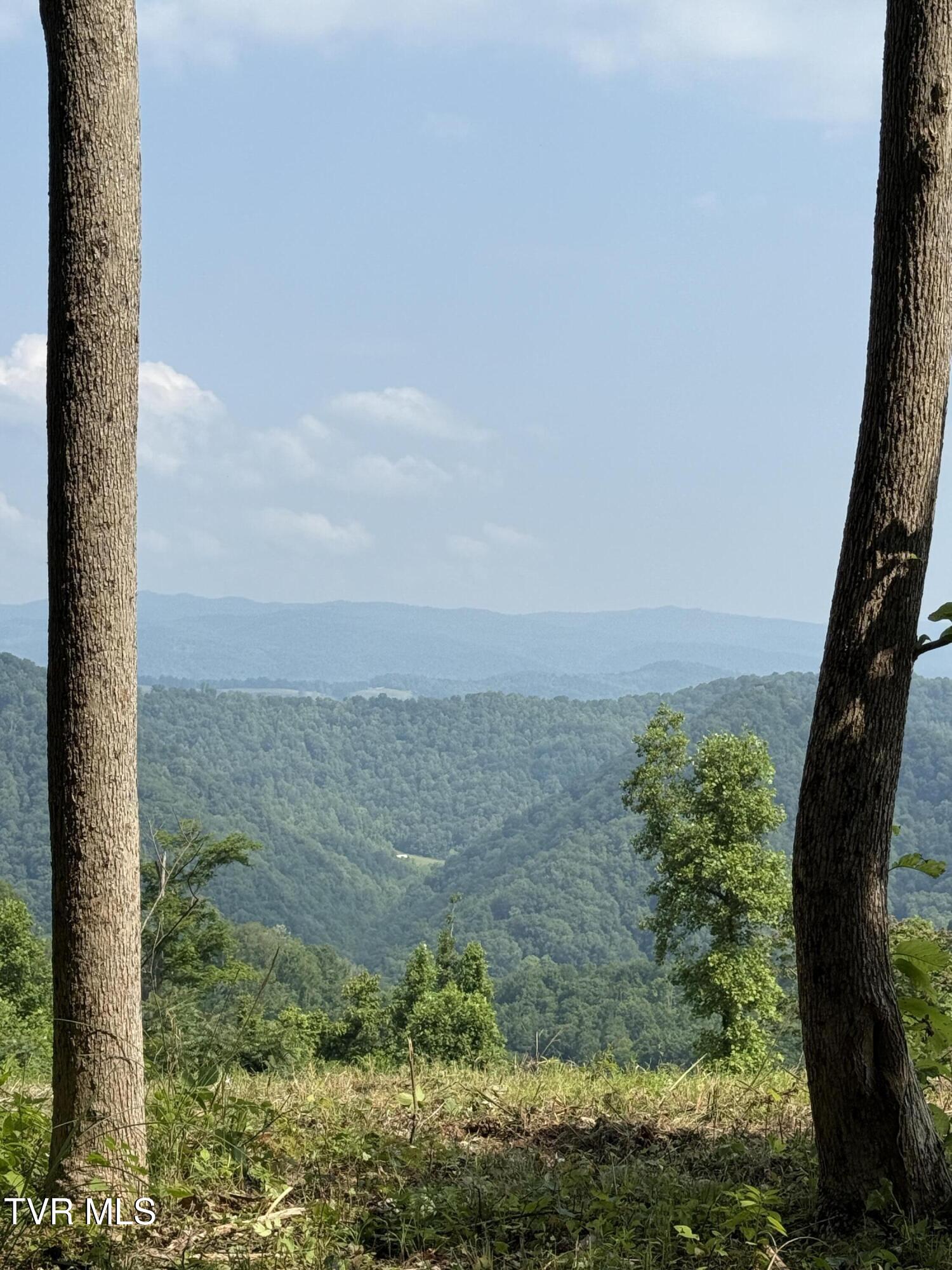 00 Heavens View (118 Acres) Lane, Gate City, Virginia image 22