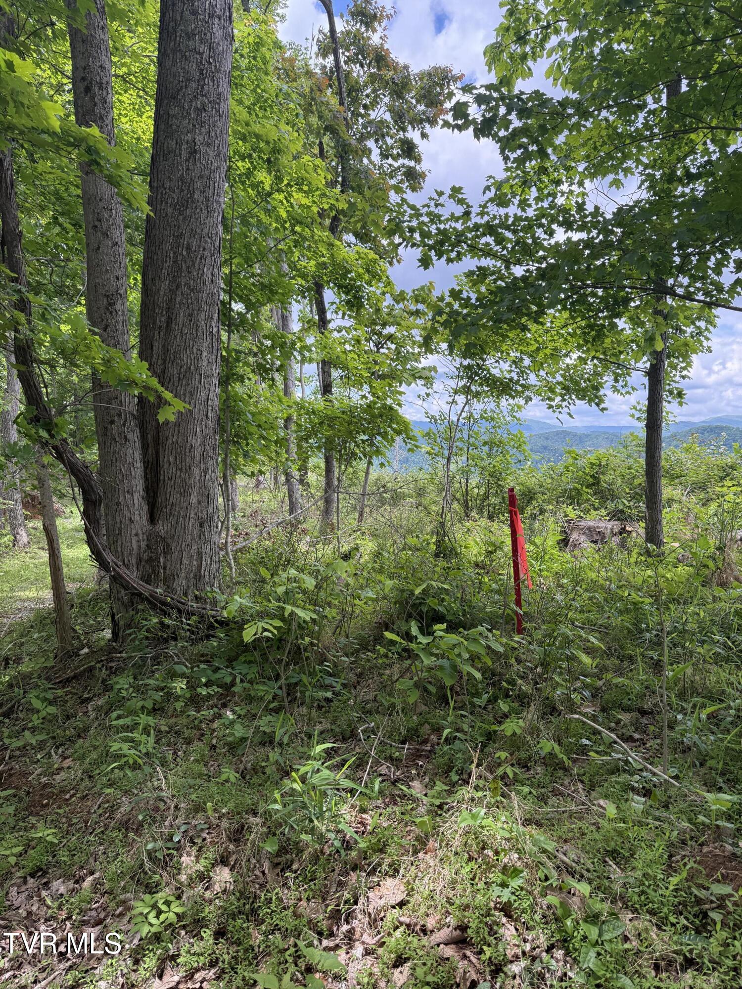 00 Heavens View (118 Acres) Lane, Gate City, Virginia image 5