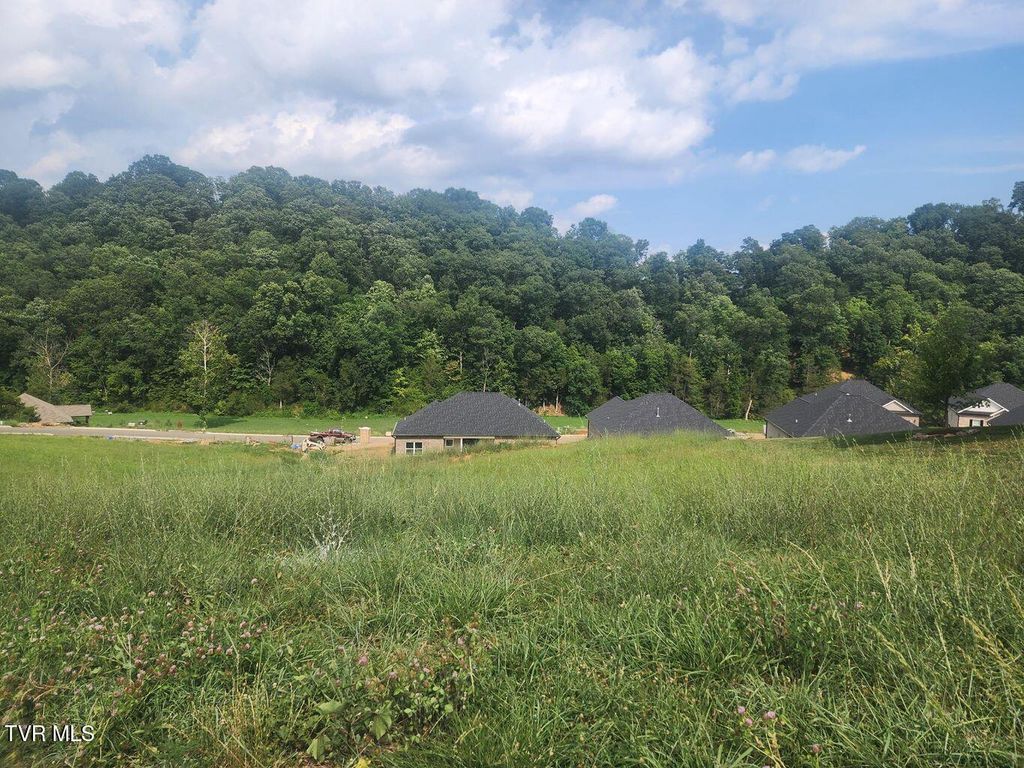 Photo of 1633 Prospects Way, Gray, TN 37615 (MLS # 9978102)