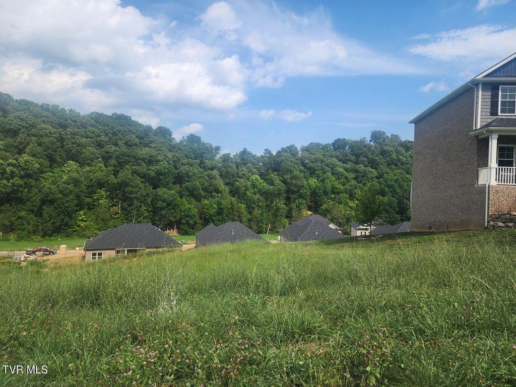 Photo of 1633 Prospects Way, Gray, TN 37615 (MLS # 9978102)