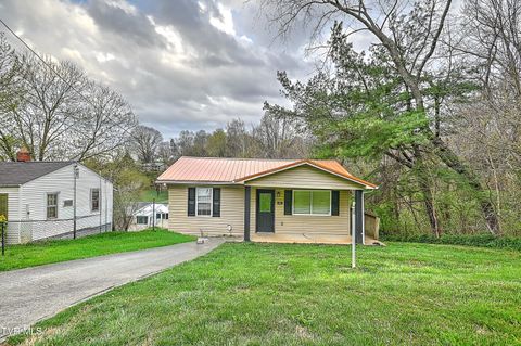 Photo of 1651 Central Avenue, Elizabethton, TN 37643 (MLS # 9993282)