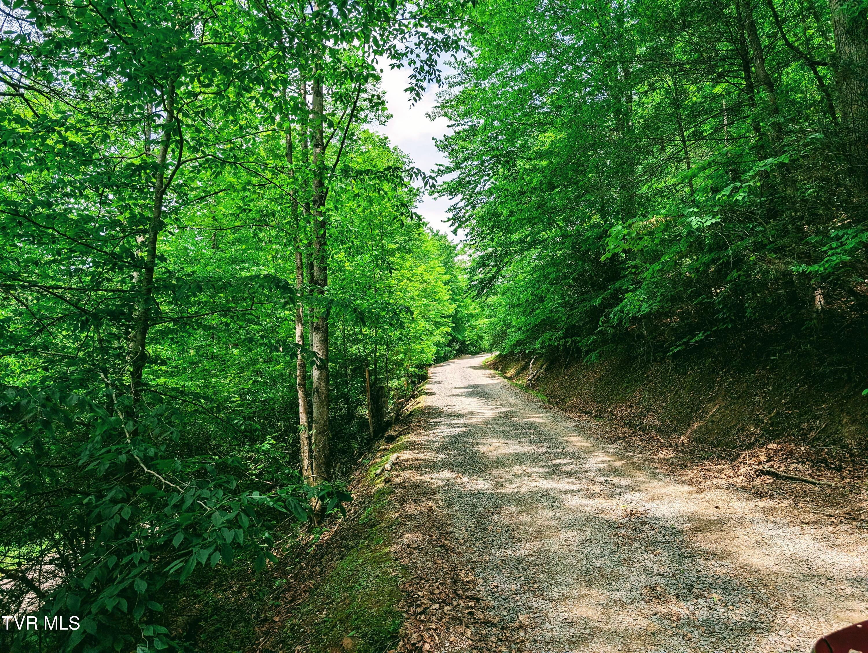 3375 Honey Camp Road, Clintwood, Virginia image 7