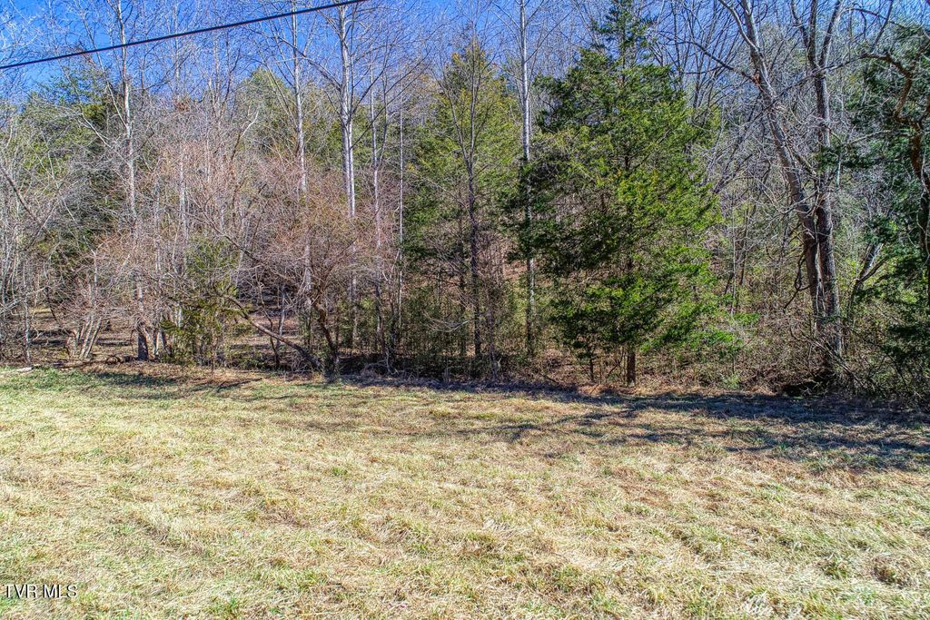 Photo of Tbd Devils Nose Road, Rogersville, TN 37857 (MLS # 9992547)