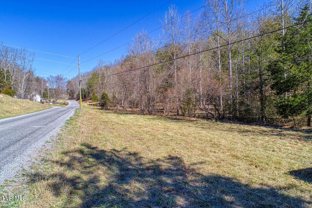 Photo of Tbd Devils Nose Road, Rogersville, TN 37857 (MLS # 9992547)
