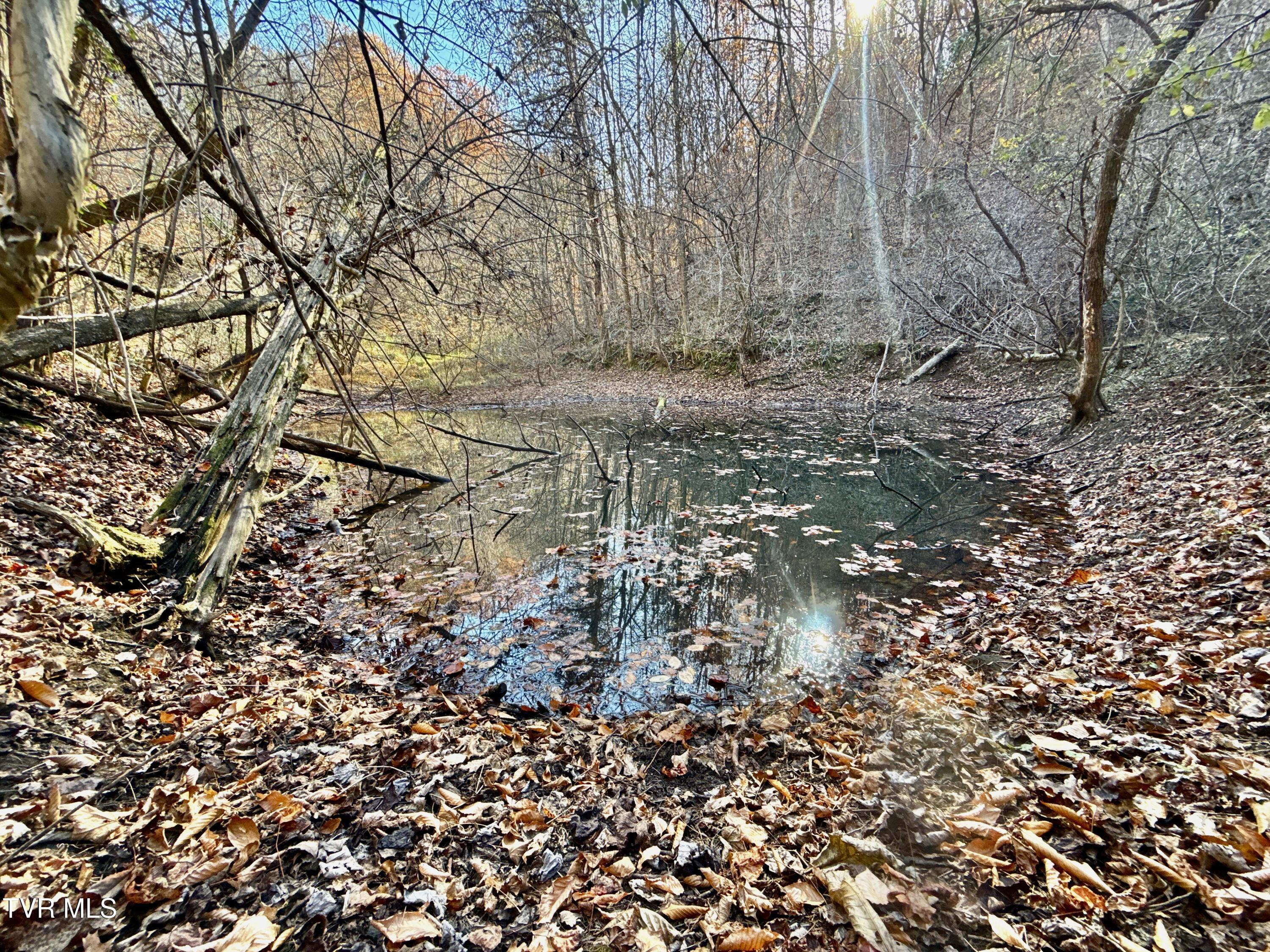 131 Gibson Hollow Road