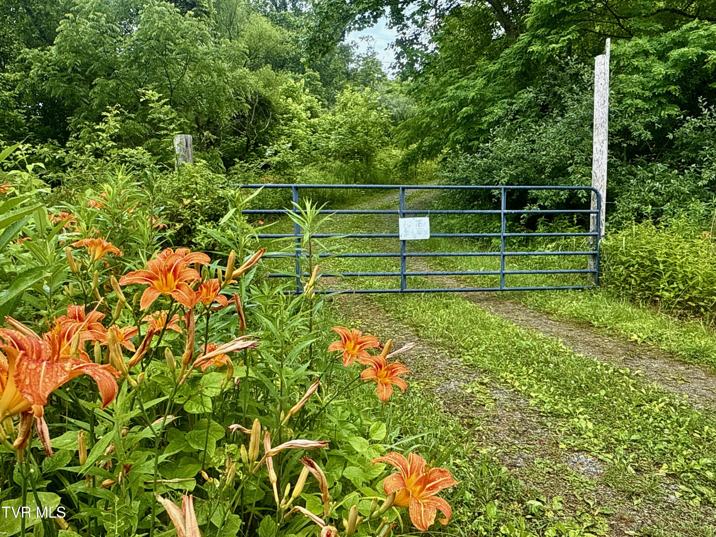 131 Gibson Hollow Road