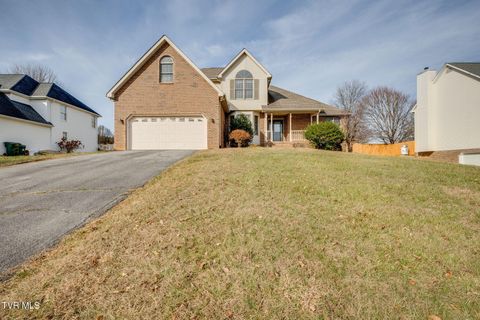 Photo of 106 Meadow Court, Gray, TN 37615 (MLS # 9990286)