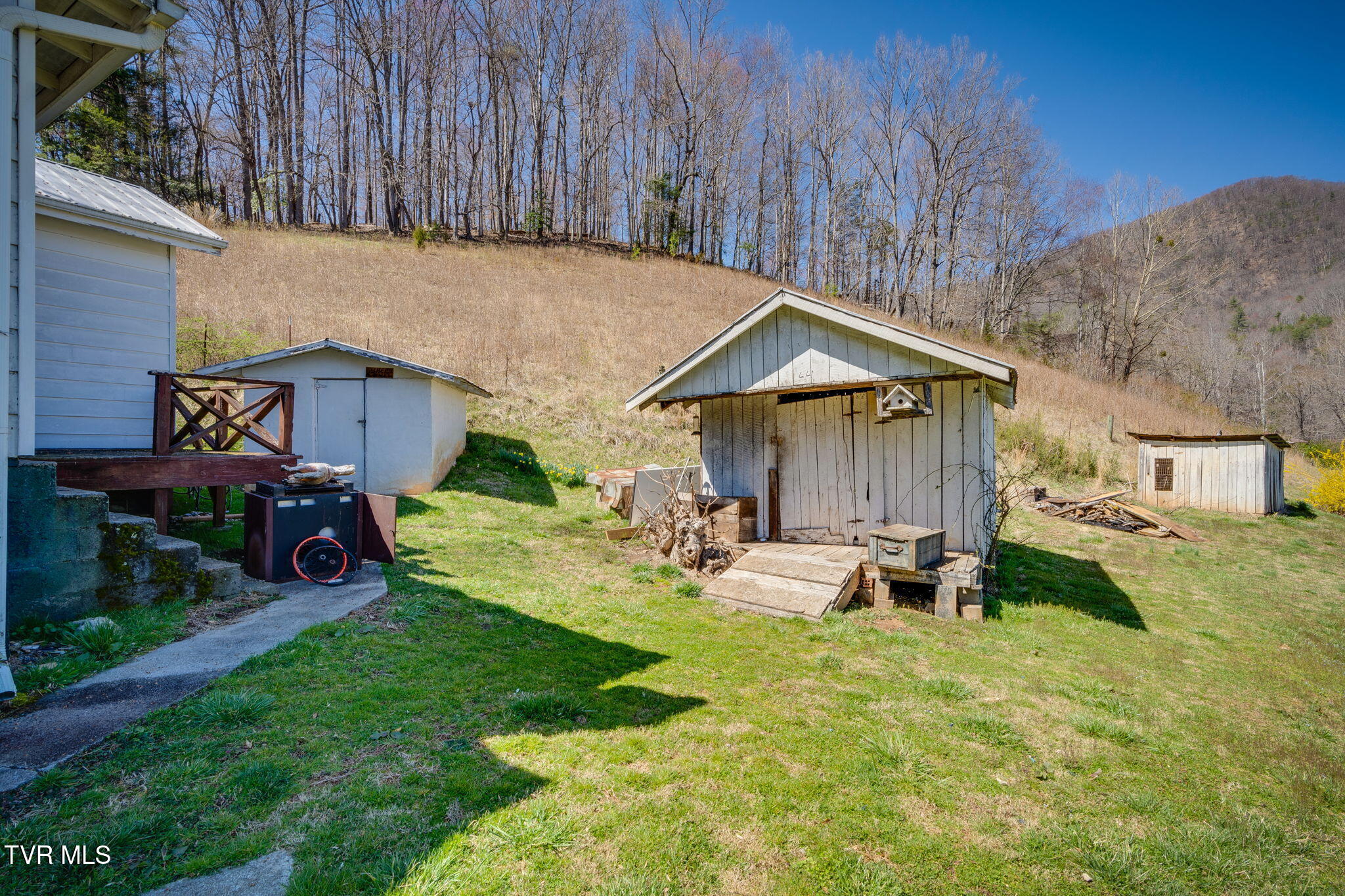 501 Polly Erwin Road, Erwin, Tennessee image 5