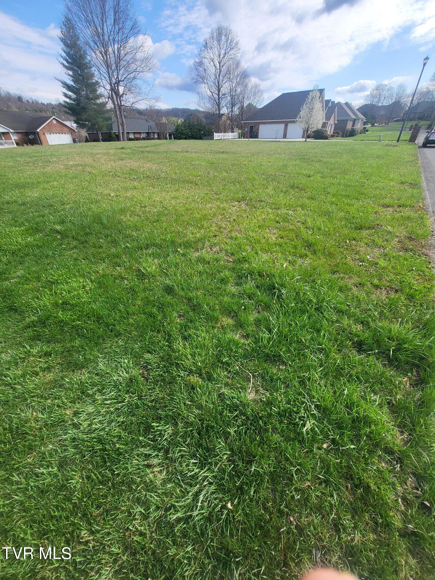 Lot #11 Halifax Drive, Kingsport, Tennessee image 1