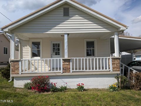 Photo of 532 Elm Street, Mount Carmel, TN 37645 (MLS # 9993225)