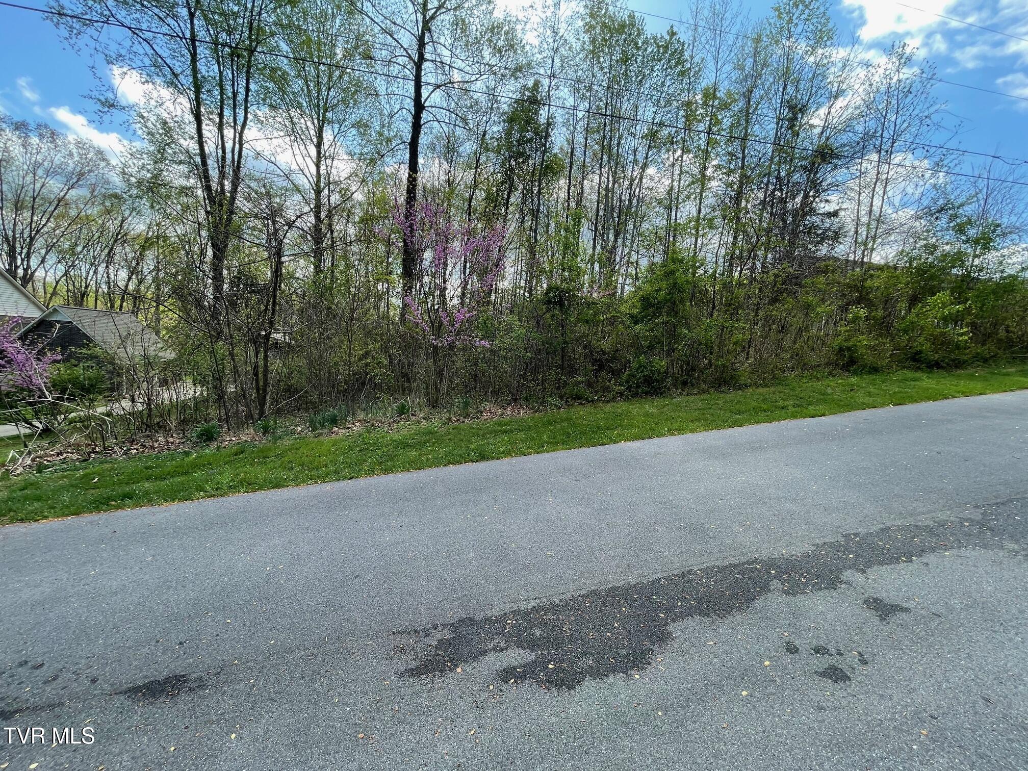 354 Glasgow Lane, Blountville, Tennessee image 2
