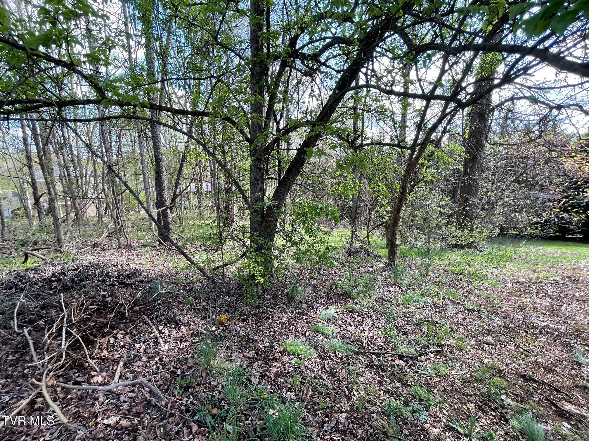 354 Glasgow Lane, Blountville, Tennessee image 6