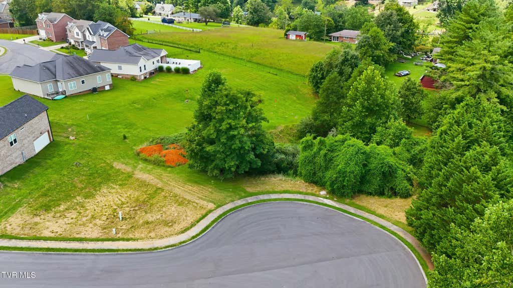 Photo of 4293 Anchor Pointe Drive, Kingsport, TN 37660 (MLS # 9999331)