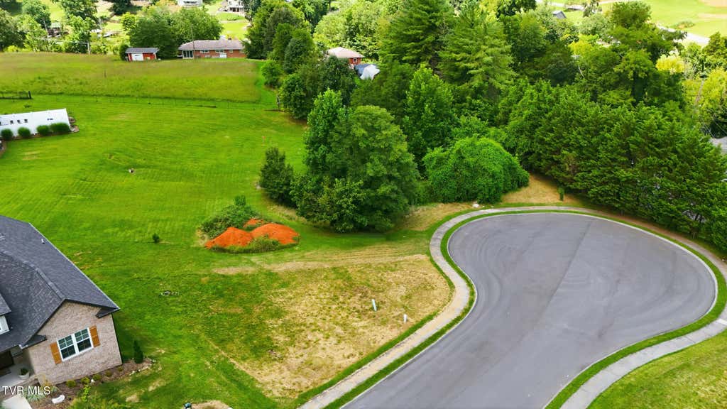 Photo of 4293 Anchor Pointe Drive, Kingsport, TN 37660 (MLS # 9999331)