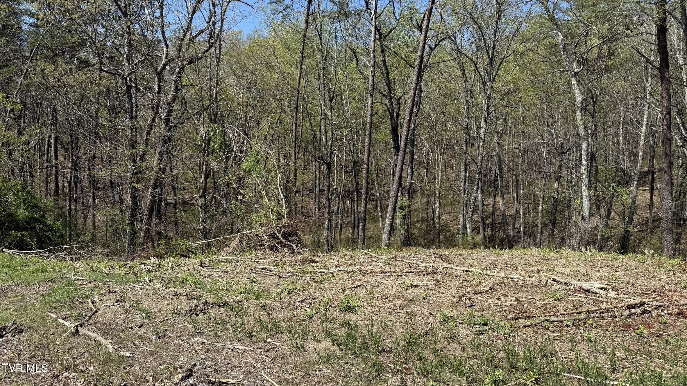 475 Bayside Boulevard, Bean Station, Tennessee image 3