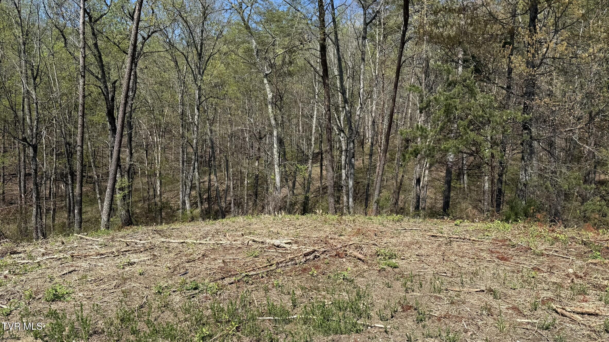 475 Bayside Boulevard, Bean Station, Tennessee image 2