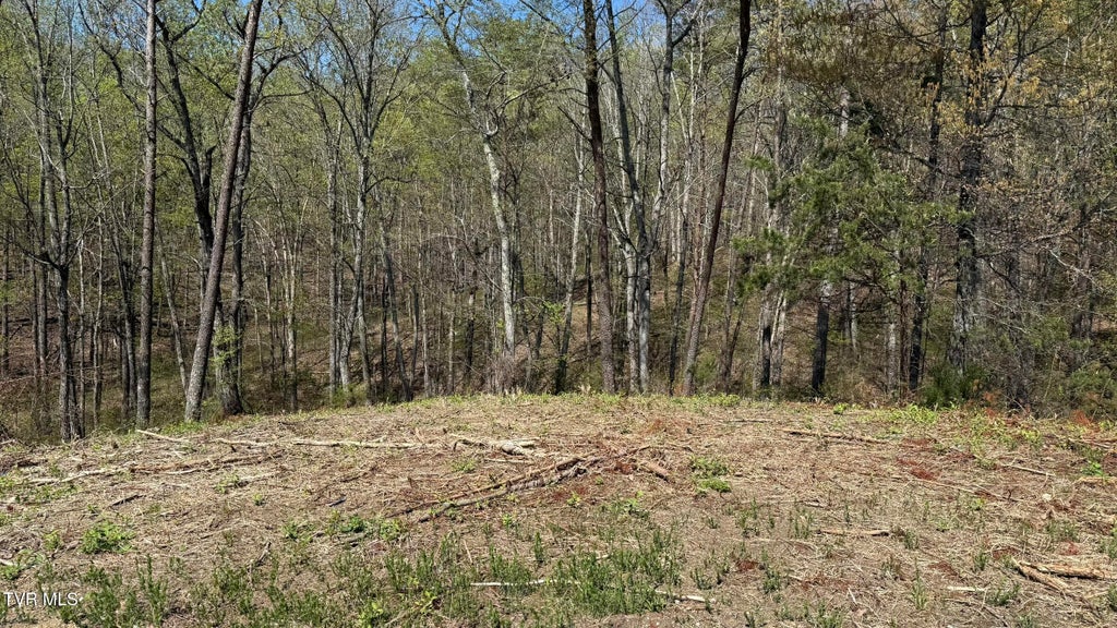 Photo of 475 Bayside Boulevard, Bean Station, TN 37708 (MLS # 9978721)