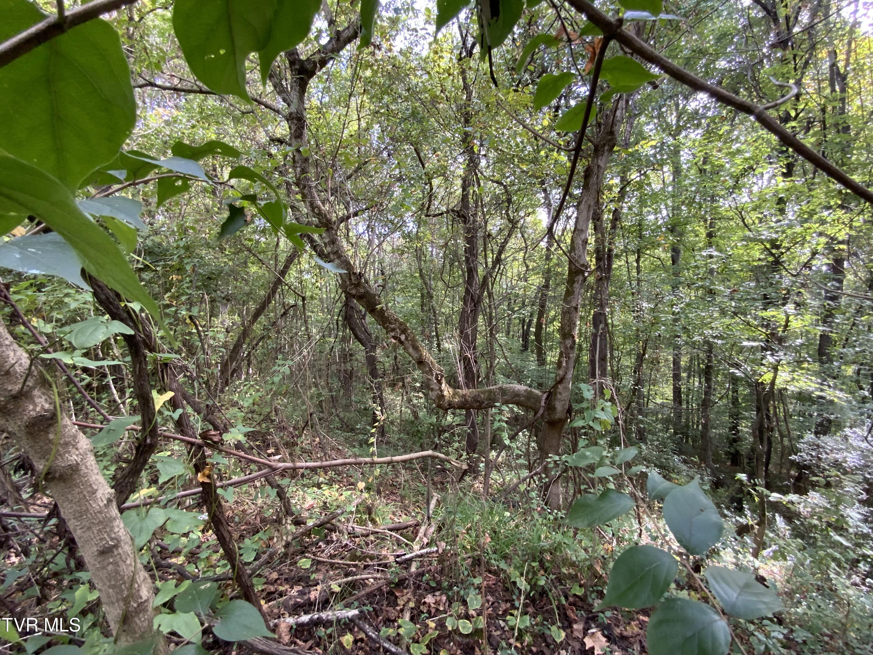 0000 Davis Rd, Rogersville, Tennessee image 9
