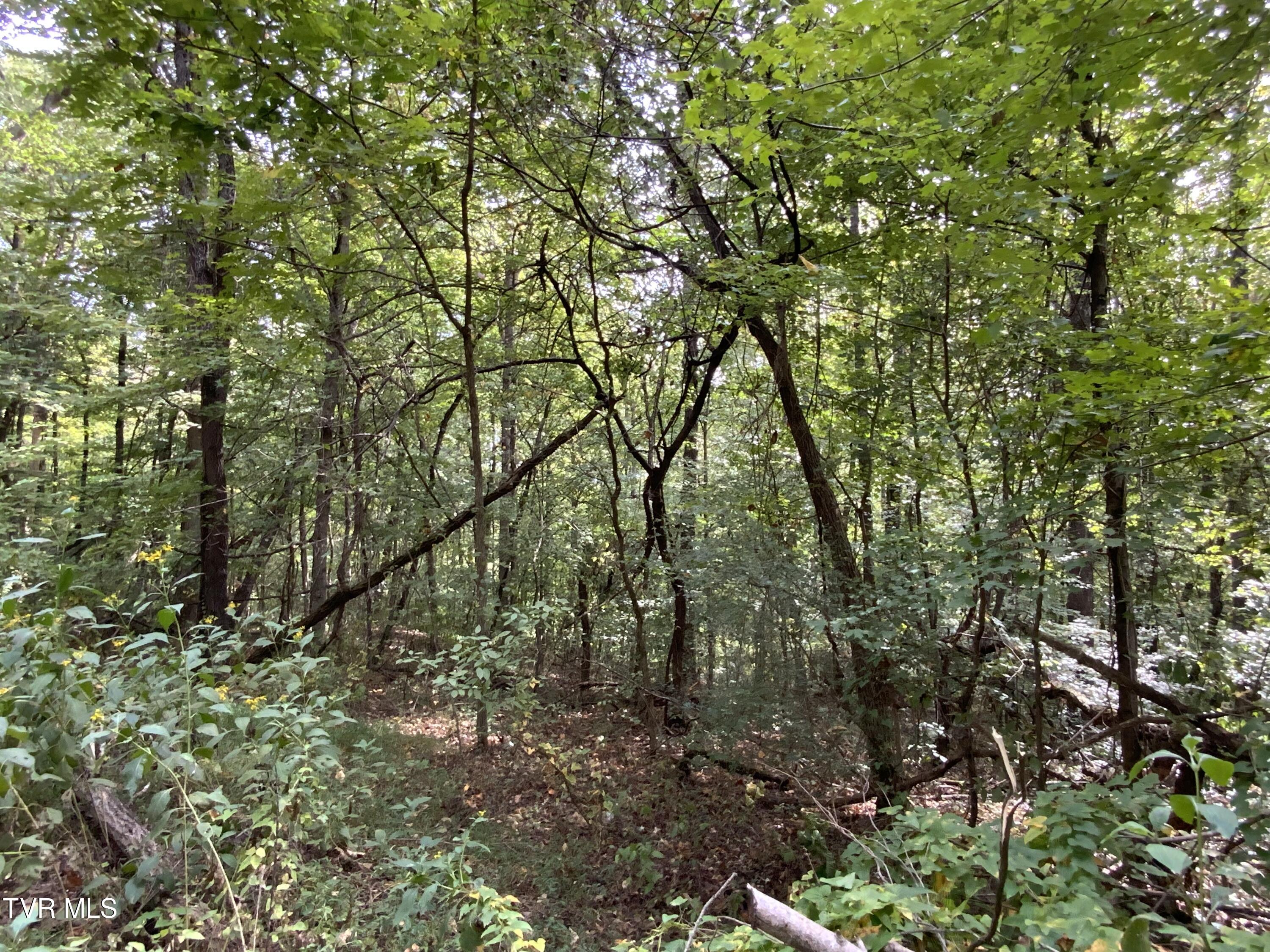 0000 Davis Rd, Rogersville, Tennessee image 15