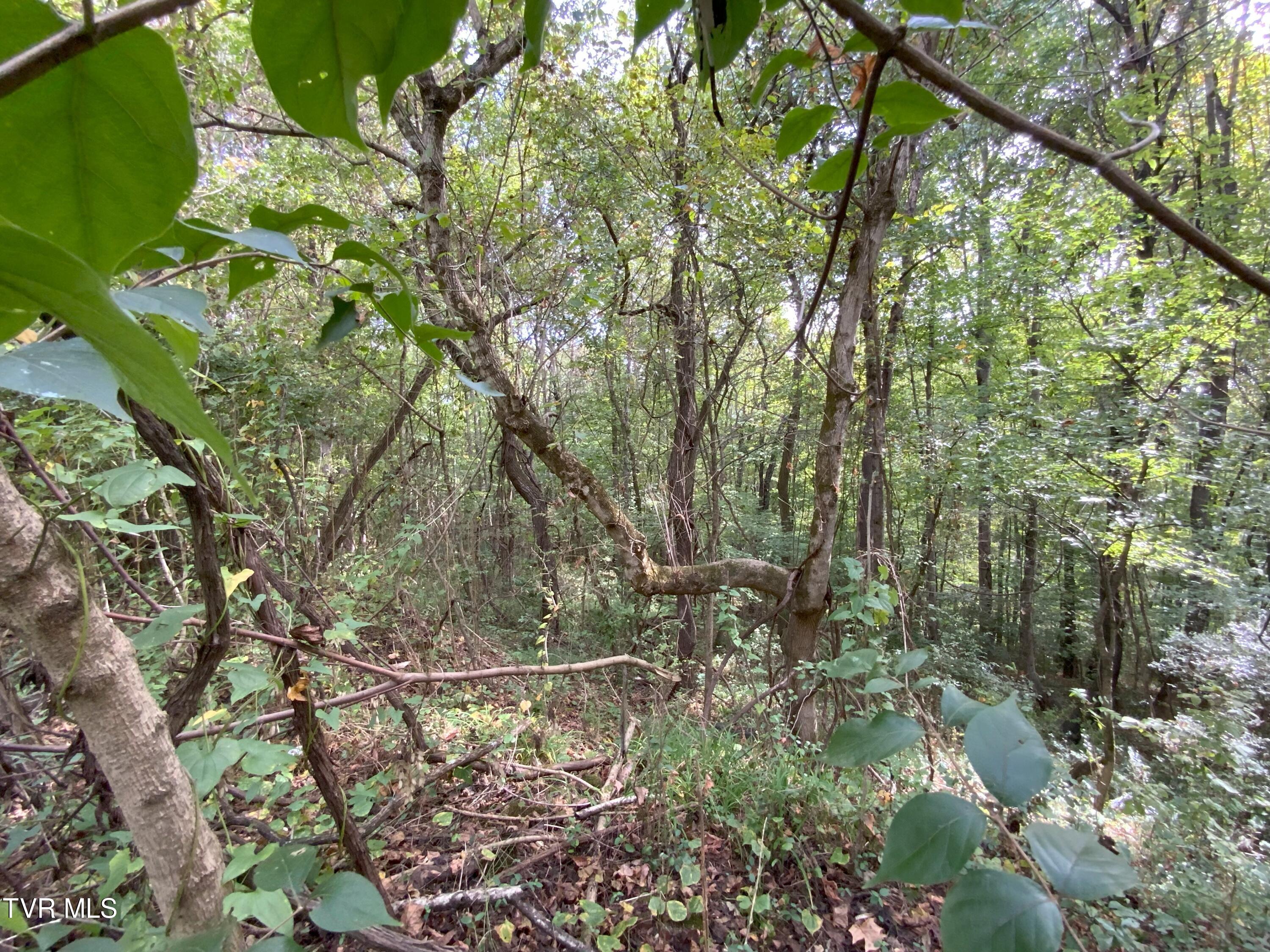 0000 Davis Rd, Rogersville, Tennessee image 10